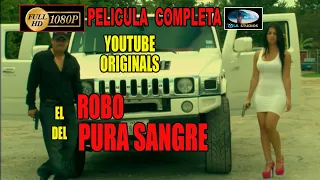 🎬 EL ROBO DEL PURA SANGRE - Película de acción completa en español | Ola Studios TV 🎥