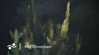 Discovering More Vents at EMARK | SOI Divestream S0495