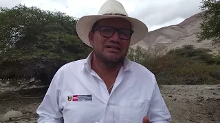 Día Internacional de los Bosques: Bosque Seco de Manga, en Arequipa