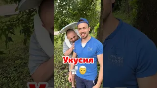 Что делать если вас укусил Скибиди Туалет?!