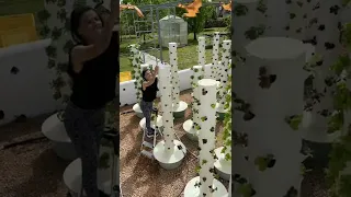 Aeroponic vertical farming with Tower Farms 🌱#TowerGarden #Aeroponics #VerticalFarming #TowerFarms