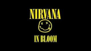 (TAB) Nirvana - In Bloom Intro Guitar Cover By A