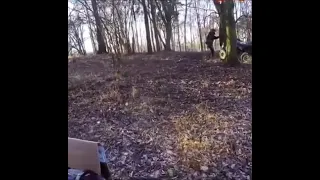 ATV throttle stuck open against a tree