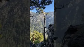 Forest falls, San bernadino california