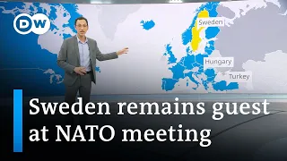 What is the status of Sweden's NATO bid? | DW News