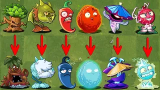 Every Plants Same Shape in China & International Version - PvZ 2 Discovery v10.8.1