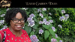 Water Garden Tour