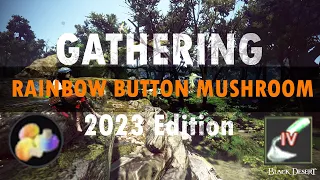 Black Desert Online Gathering - Rainbow Button Mushroom -1 hour - 2023 Edition