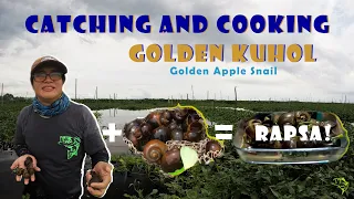 Catching and Cooking Golden Kuhol (Golden Apple Snail) Rapsa!