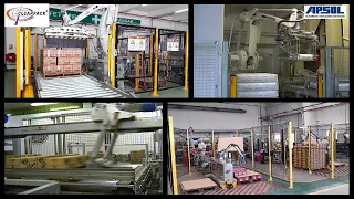 Case and Bag Palletizers | Clearpack