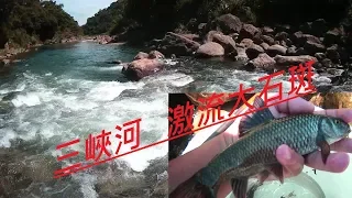 2019 6 21 三峽河   激流中@大石斑