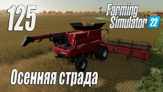 Farming Simulator 22 [карта Элмкрик], #125 "Свинские" алгоритмы