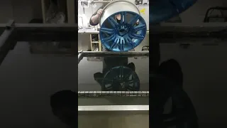 Hydrodipping alloy wheel