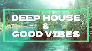 Deep House Good Vibes 2023 ‐ Avicii, Jonas Blue, Martin Garrix, Alok, Alesso, Lost Frequencies