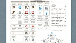 Елизавета Сабитова - Как найти Грабителя Богатства в карте рождения ба цзы