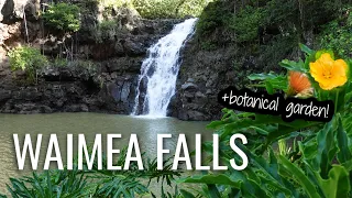 Hiking to Waimea Valley Waterfall and a stroll through the Botanical Garden | Oahu Hawaii