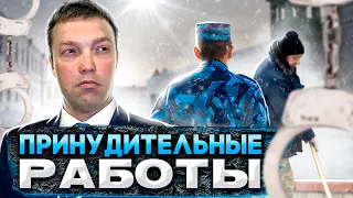 Что такое ПРИНУДИТЕЛЬНЫЕ РАБОТЫ / кому назначаются и сколько длятся / можно ли от них уклоняться