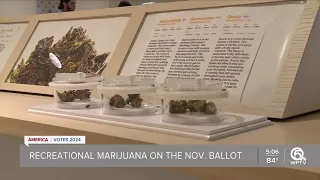 How could recreational marijuana in Florida change cannabis industry