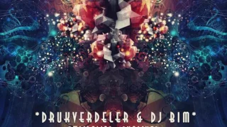 Drukverdeler & DJ Bim - Requiem to a Dream (Overture Version) (HD)
