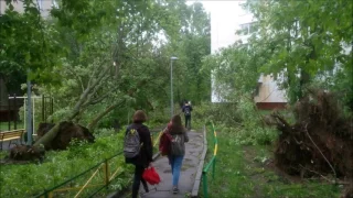 Ураган в Москве 29 мая 2017 ломает деревья
