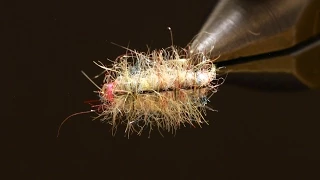 Rainbow Sow Bug Fly Pattern - Quick, Durable, Deadly