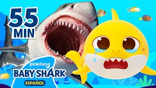 TODOS Los Cuentos para niños | Los mejores cuentos cortos | Mix+ | Baby Shark en español