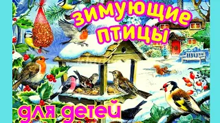 Зимующие птицы. голоса птиц. Рассказы для детей.Wintering birds. bird voices. Stories for children.