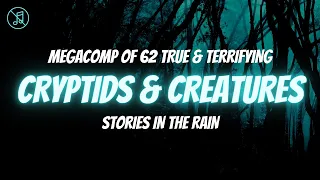 MEGACOMP | 62 TRUE Cryptid & Other Creature Stories | TRUE Scary Stories In the Rain | Raven Reads