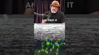 What an amazing experiment, with Paul Stamets. Did you know this? EP number: JRE #1035