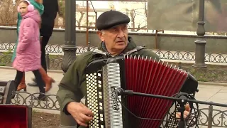 Одеса, Україна, баян, Приморський бульвар / Odesa, Ukraine, accordion, Primorsky Boulevard