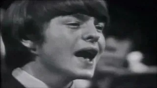 NEW * Fever - The McCoys {Stereo} 1966