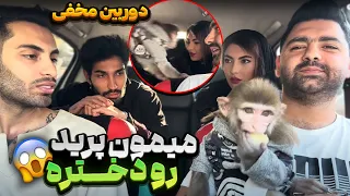 میمون پرید رو دختره😱دوربین مخفی🐒