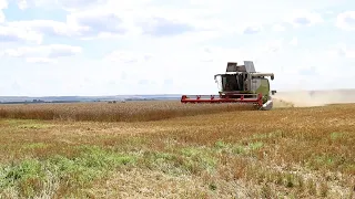 Хозяйства княгининского района приступили к уборке зерновых культур