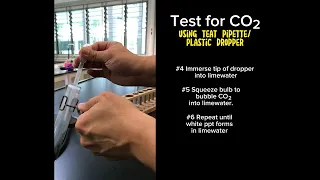 Practical | Test for Carbon Dioxide using Teat Pipette