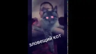 Танцующий кот киборг