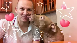 🔥100к🔥 на канале!!!😃🐶🥳