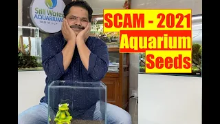 How to Grow Aquarium Plant Seeds | Scam 2021 | Nature Aquarium Ideas | Mayur Dev Aquascaper  HD1080p