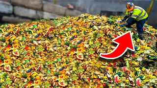 10 Insane Food Waste Facts You Won't Believe