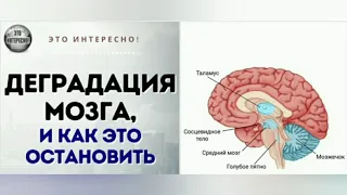 Отзыв на видеокурс "Укрепление нервов и сосудов мозга", 2