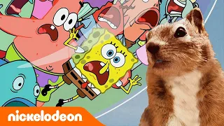 Bob l'éponge | Bob l’éponge sauve Sandy ! | Nickelodeon France