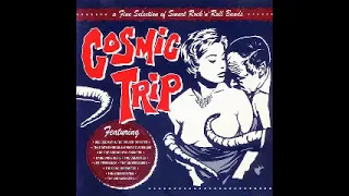 Various - Cosmic Trip Vol 1 - A Fine Selection Of Smart French Rock'n'Roll Bands, Garage Surf Album