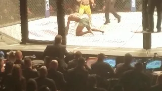 Moraes vs Sterling KO