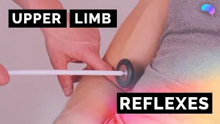 Reflexes of the Upper Limbs | OSCE Clip | UKMLA | CPSA