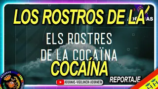 Los rostros de la cocaína, reportaje de 'Zoom', Valencia - Aduanas SVA