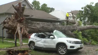 If a neighbor’s tree falls on your fence/car/house who is responsible? Ask Amy