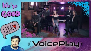 WOW ELI! │ VoicePlay Feat. Adriana Arellano & Cesar De La Rosa - We're Good