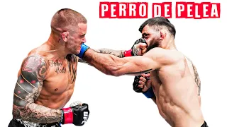 Dustin Poirier es un PERRO de PELEA