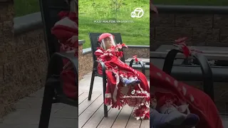 Nature-loving kid wears special feeder to get close to hummingbird