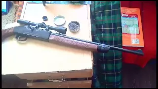 винтовка CROSMAN 2100 classik против газового баллона.