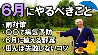 【家庭菜園/自然農法】６月にやるべきこと